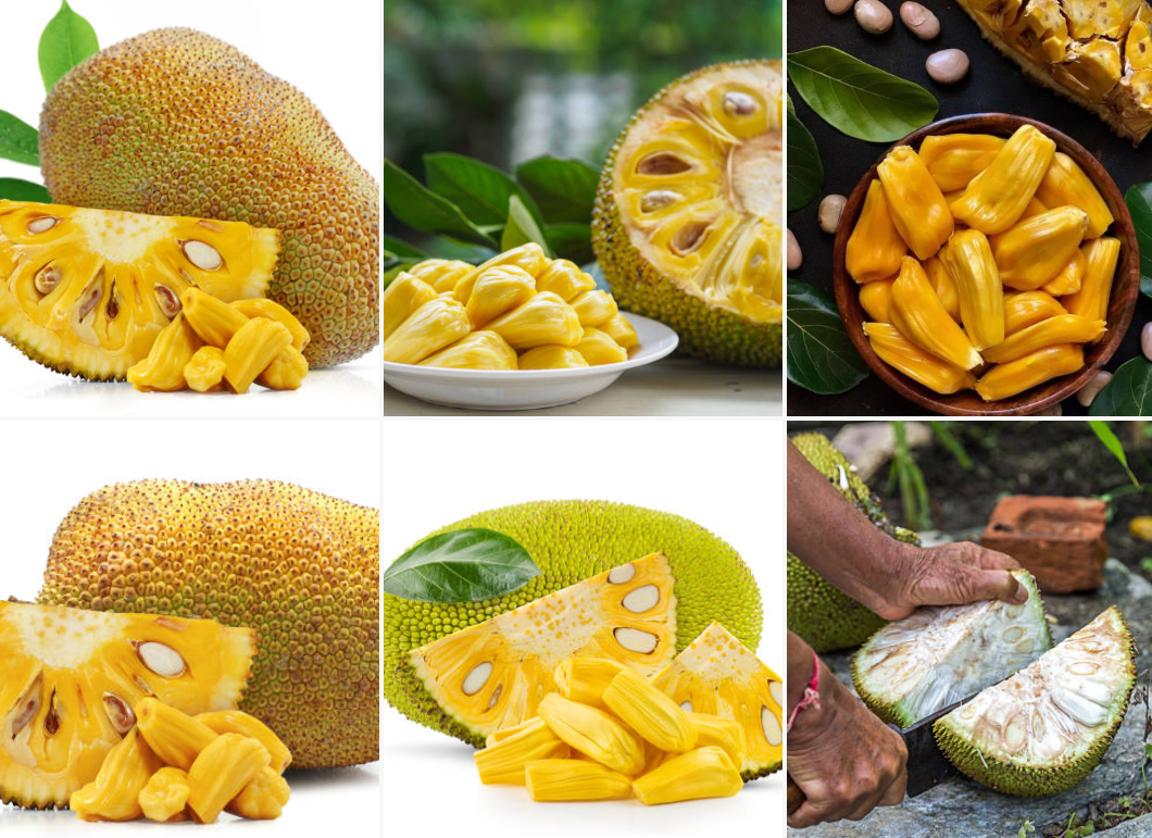 The Sacred Jackfruit of Sri Lanka: Why This "Rice Tree" is the Ultimate Superfood for Travelers