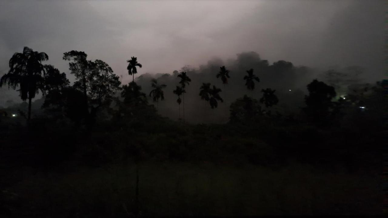 A Day in the Sinharaja Rainforest: Beyond the Perfect Photo 
