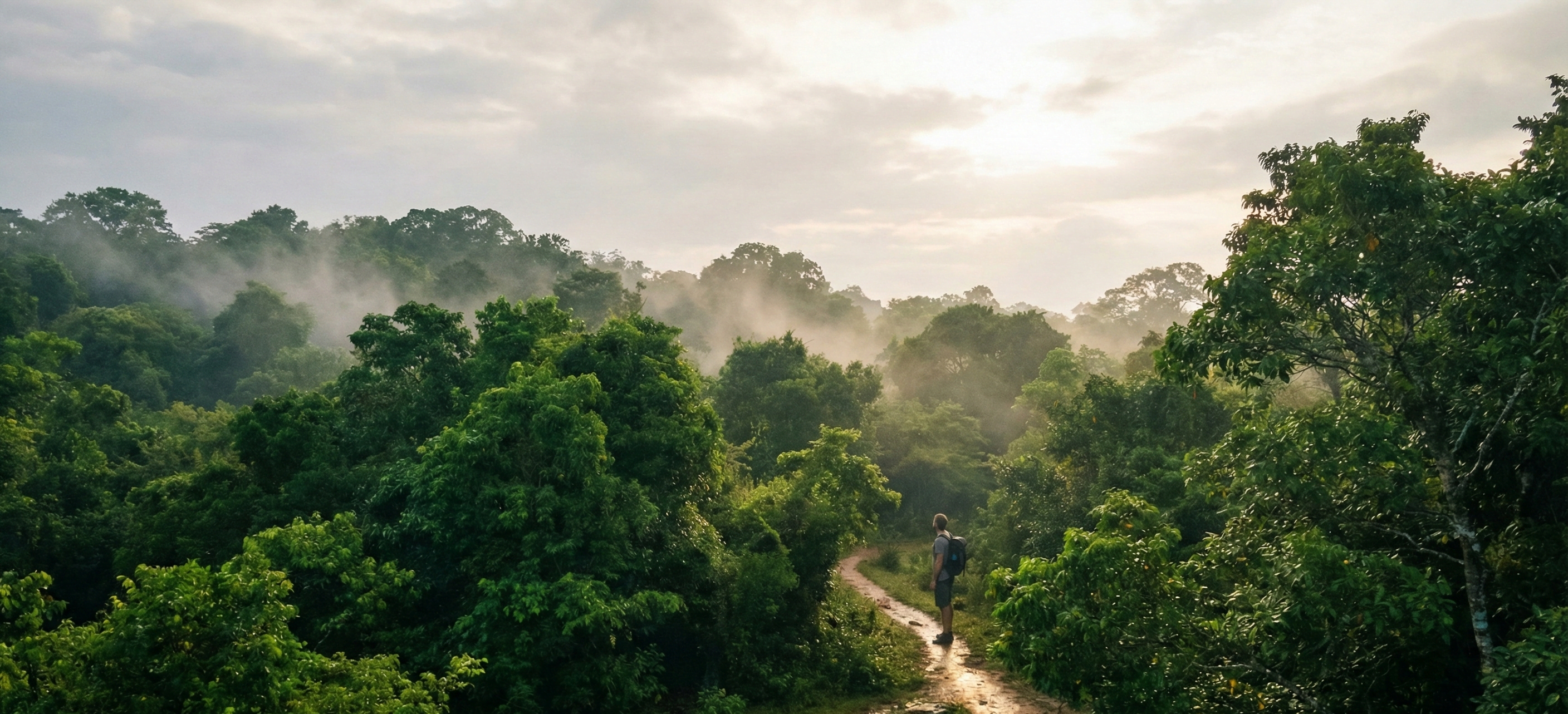 After the Storm, the Light Returns: Should You Visit Sri Lanka Now?