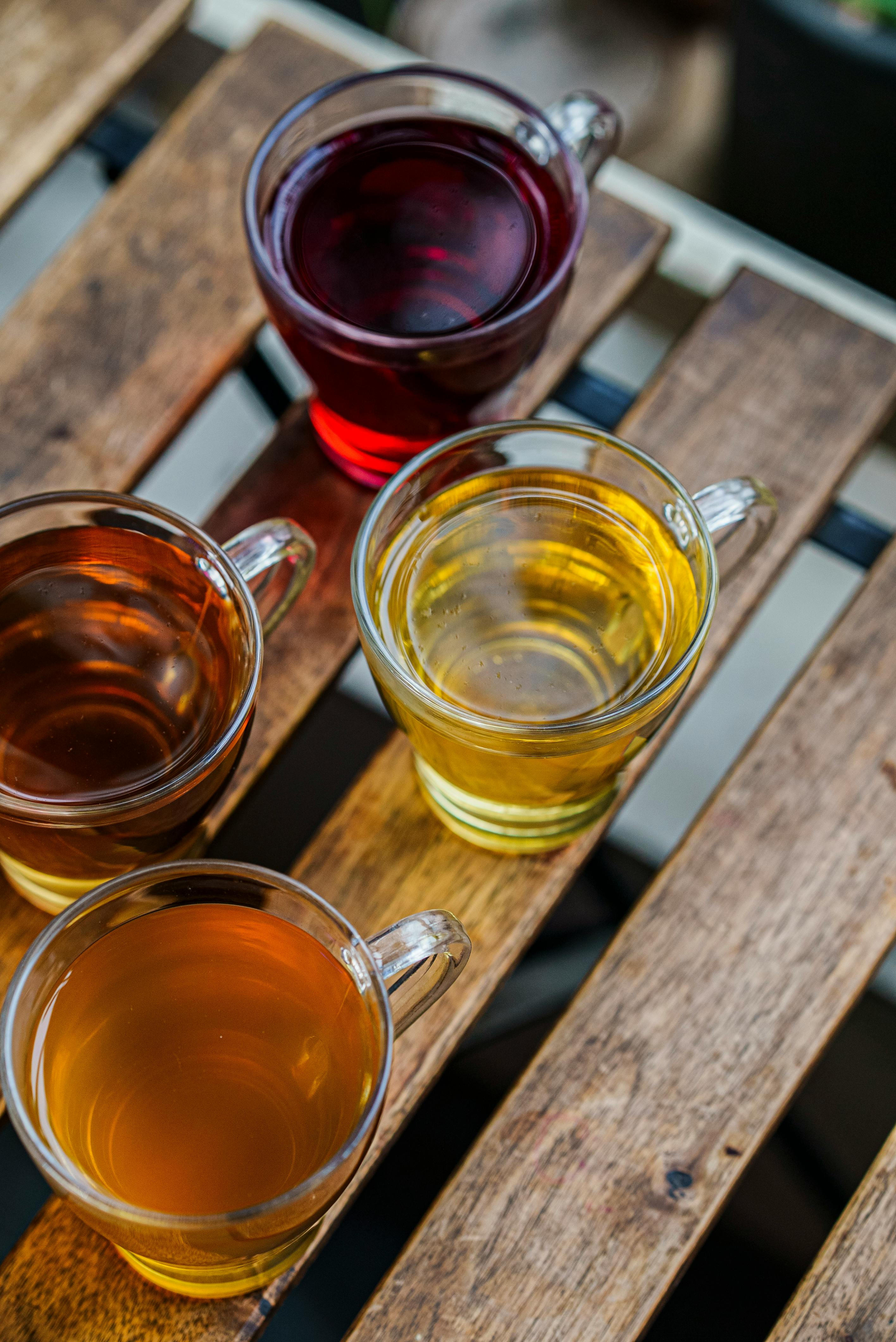 Ceylon Tea Tasting Experience