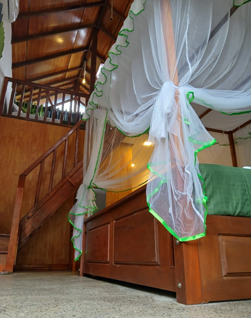 View from the Main Entrance