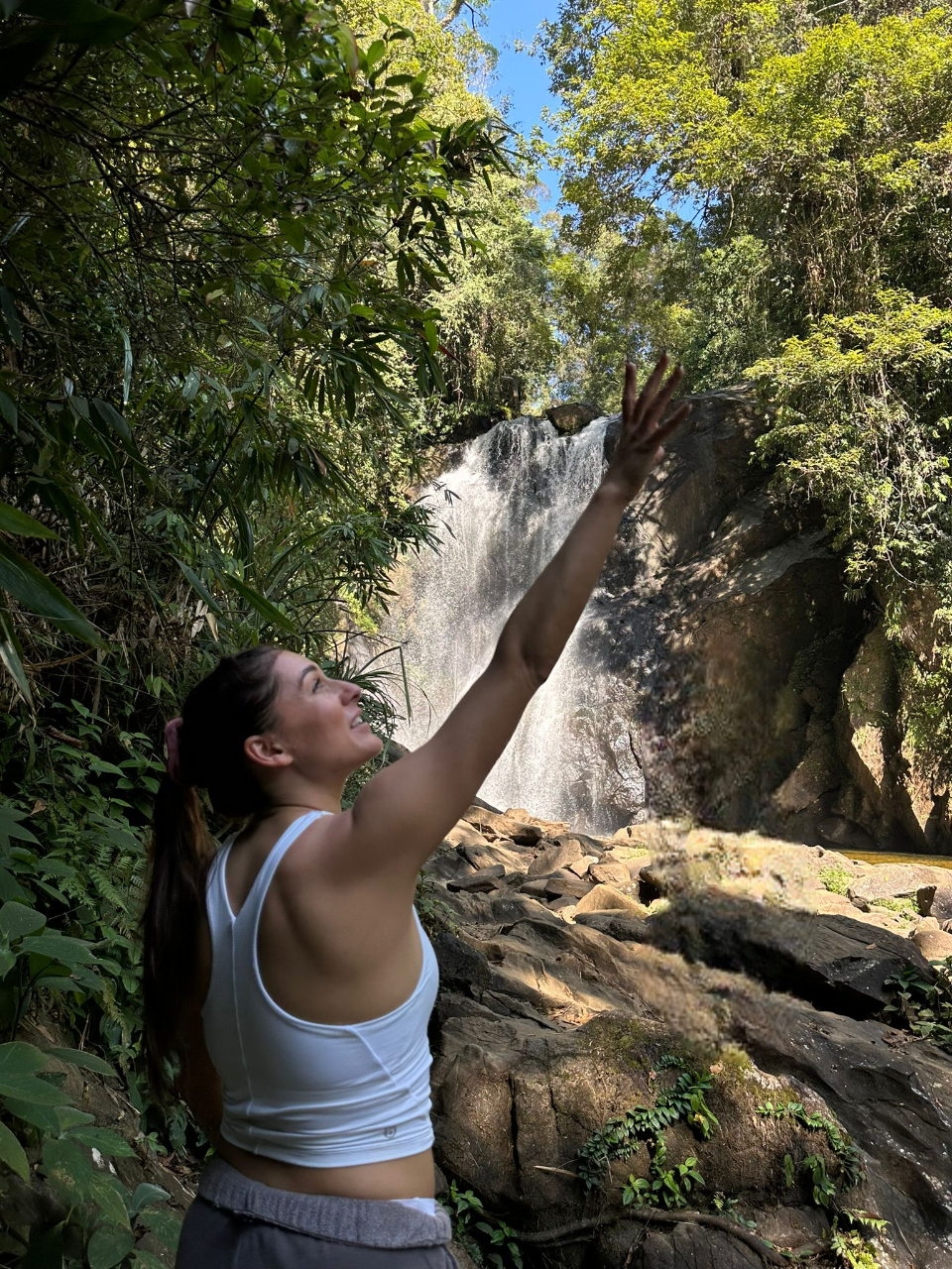 Reaching for the Rainforest