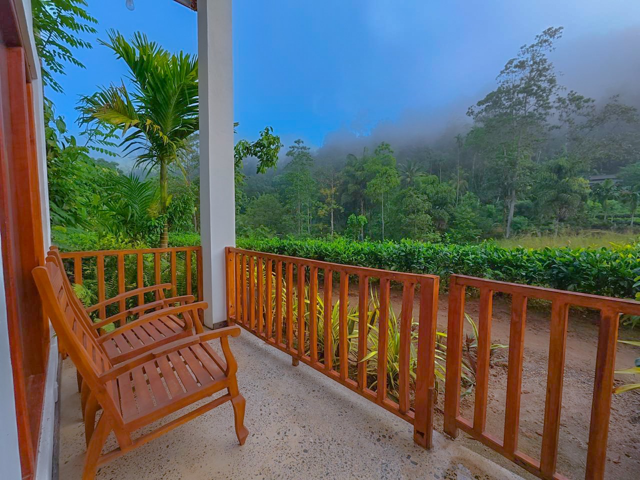 Sit by the Tea Estate