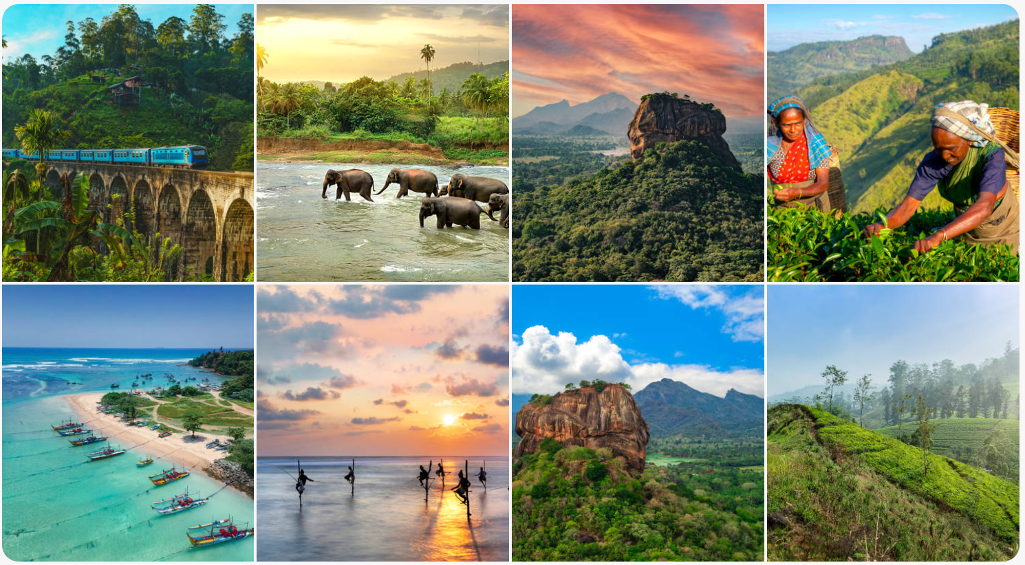 Discover the Magic: Top 15 Places to Visit in Sri Lanka in 2026