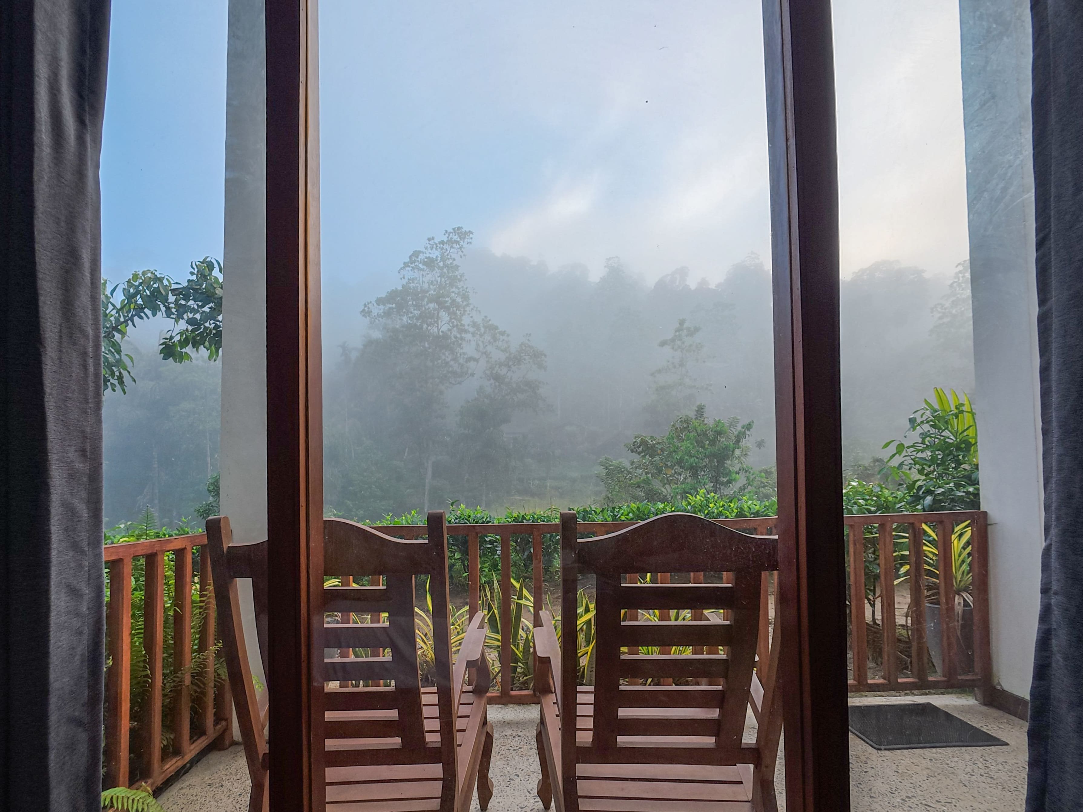 Wake up to the mist of Sinharaja