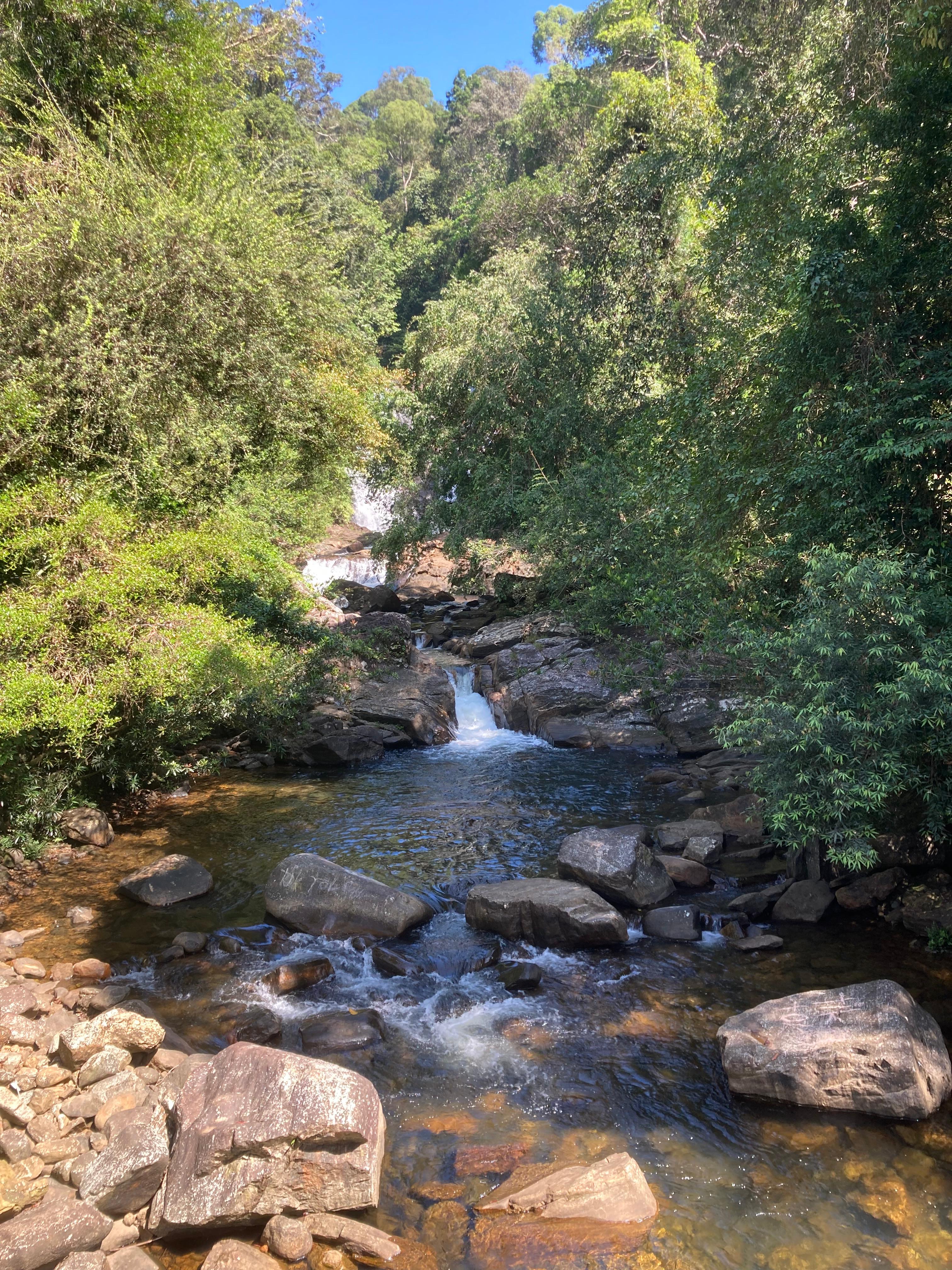 Sinharaja Deep Wilderness Expedition (Long)